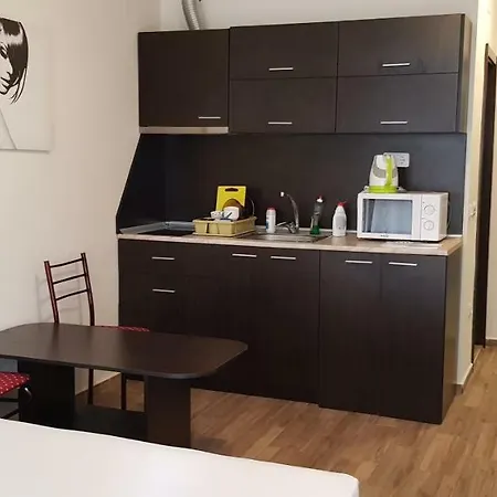 Studio Cascadas 8-a16 * Slăntjev Brjag