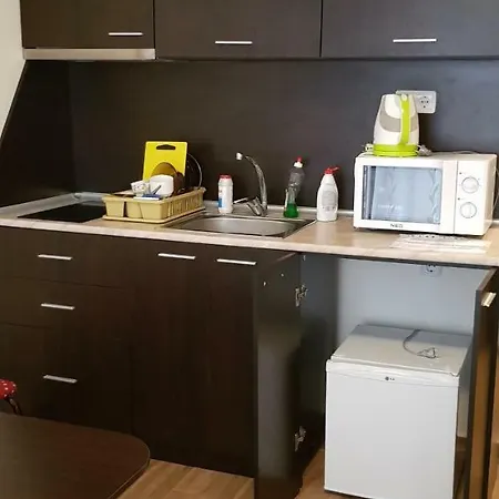 Studio Cascadas 8-a16 Lägenhet Slăntjev Brjag